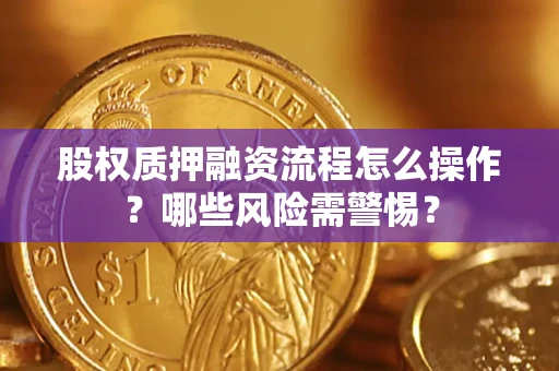 济南股权质押融资流程怎么操作？哪些风险需警惕？