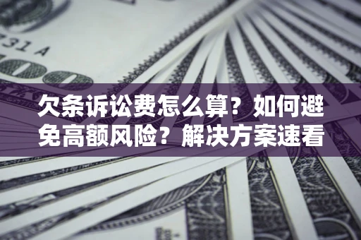 济南欠条诉讼费怎么算？如何避免高额风险？解决方案速看！