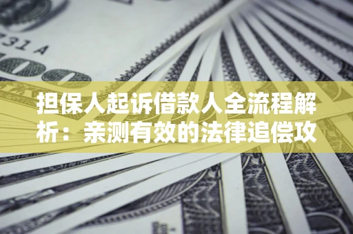 济南担保人起诉借款人全流程解析：亲测有效的法律追偿攻略