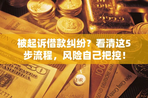 济南被起诉借款纠纷？看清这5步流程，风险自己把控！